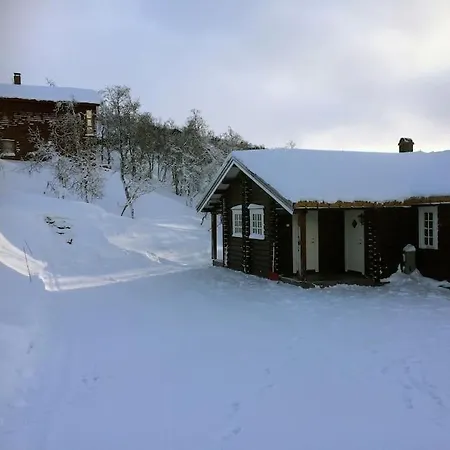 New, Mountain Paradise, Biking, Alpine Touring, Skiing In & Out * Tyinkrysset