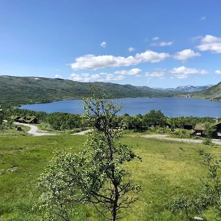 New, Mountain Paradise, Biking, Alpine Touring, Skiing In & Out Tyinkrysset