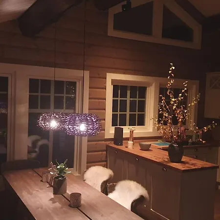 Casa de Férias New, Mountain Paradise, Biking, Alpine Touring, Skiing In & Out Tyinkrysset