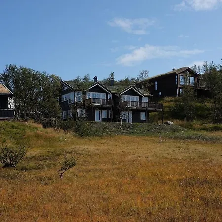 New, Mountain Paradise, Biking, Alpine Touring, Skiing In & Out * Tyinkrysset