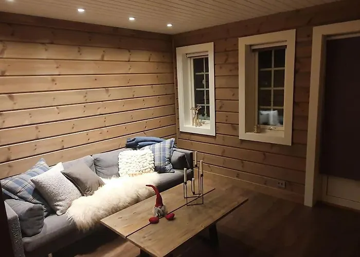 New, Mountain Paradise, Biking, Alpine Touring, Skiing In & Out Tyinkrysset