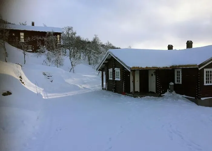 New, Mountain Paradise, Biking, Alpine Touring, Skiing In & Out * Tyinkrysset