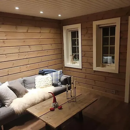 New, Mountain Paradise, Biking, Alpine Touring, Skiing In & Out Tyinkrysset